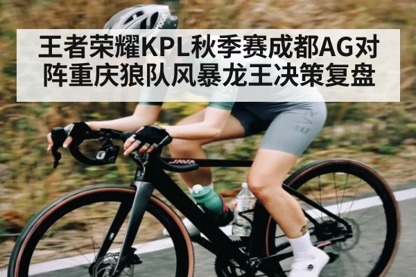 王者荣耀KPL秋季赛成都AG对阵重庆狼队风暴龙王决策复盘