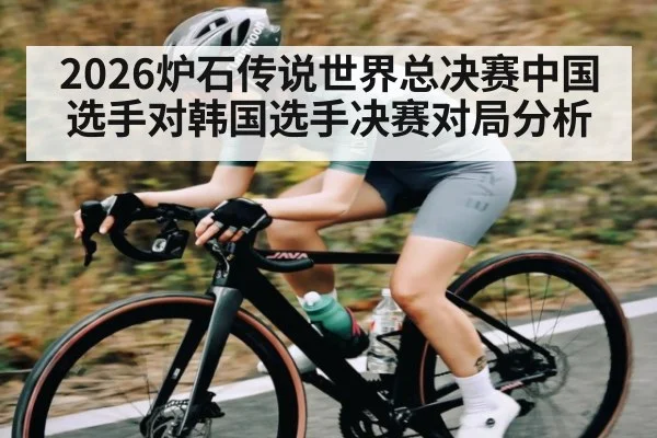 2026炉石传说世界总决赛中国选手对韩国选手决赛对局分析